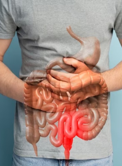 digestive